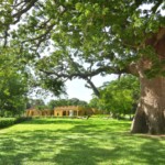 Día Internacional de los Museos en la Quinta de San Pedro Alejandrino